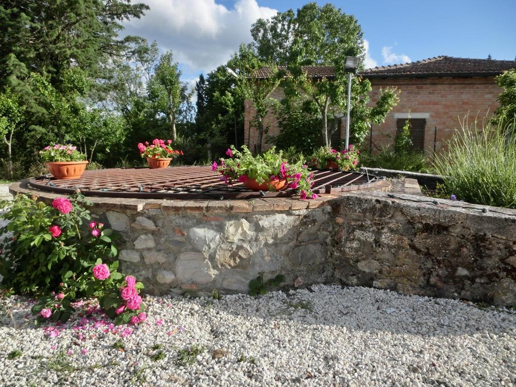 La Fattoria Bellandi Contignano