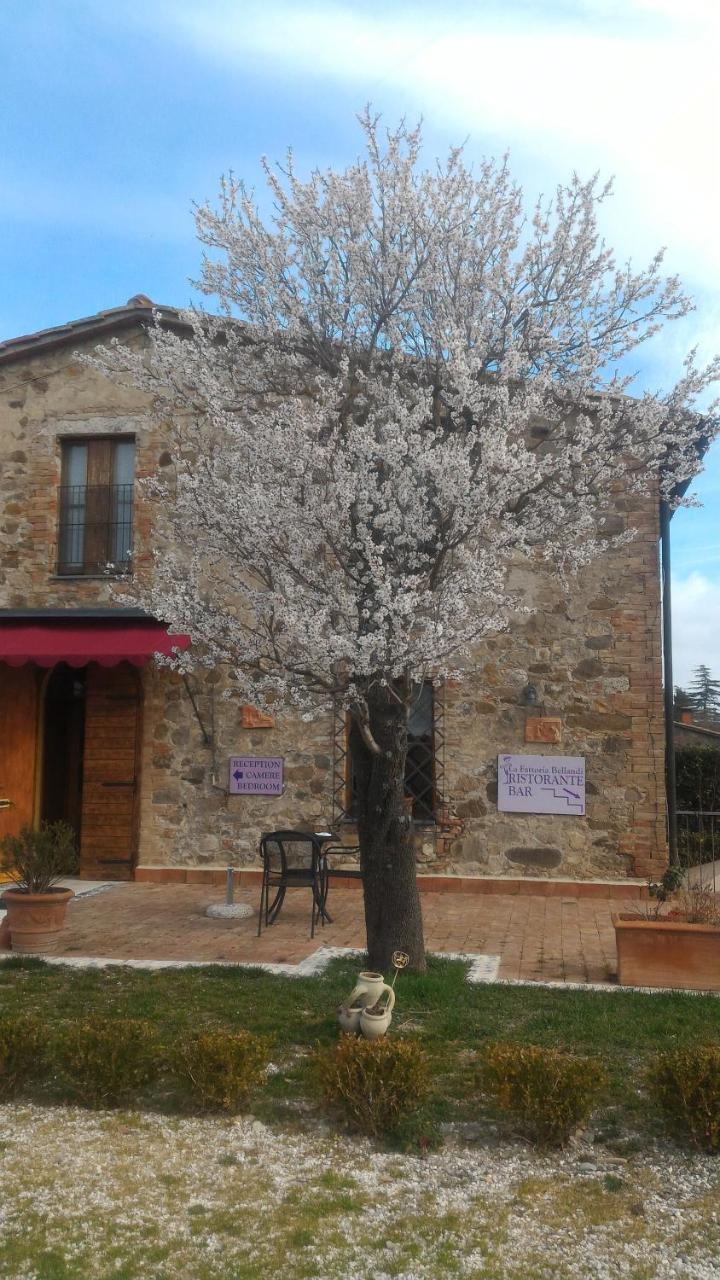 La Fattoria Bellandi Contignano